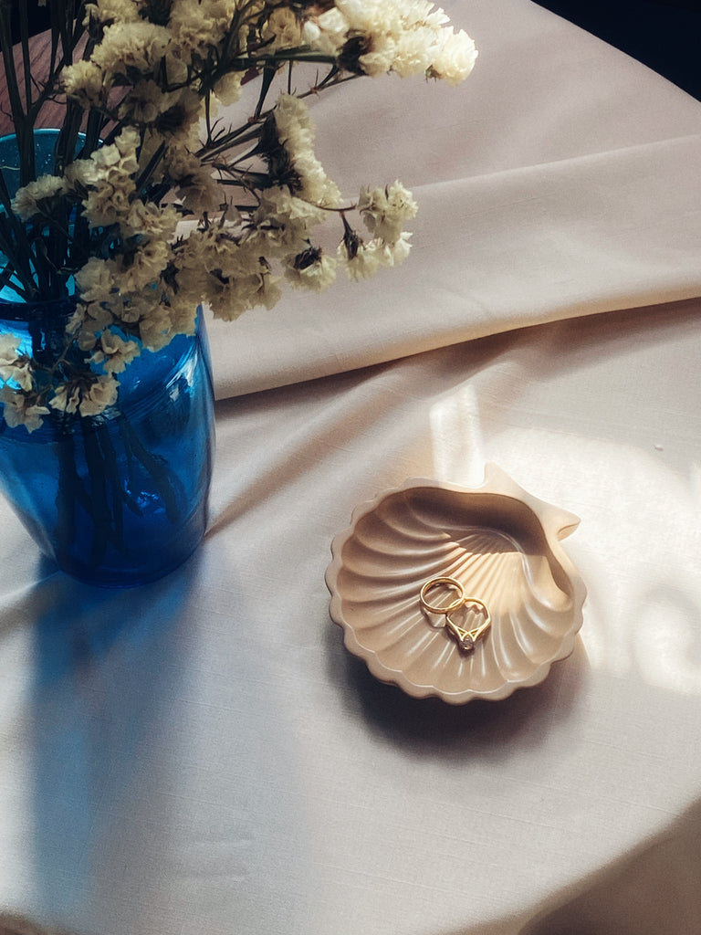 Shell Jewelry Holder